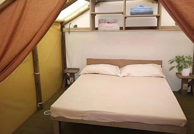 Camera con letto matrimoniale, mensola sopra il letto e pianta su comodino.
