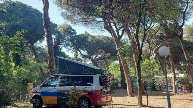 Furgone colorato tra gli alberi.