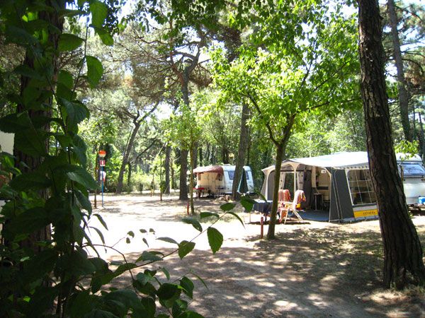 Campeggio tra alberi con tende e roulotte.