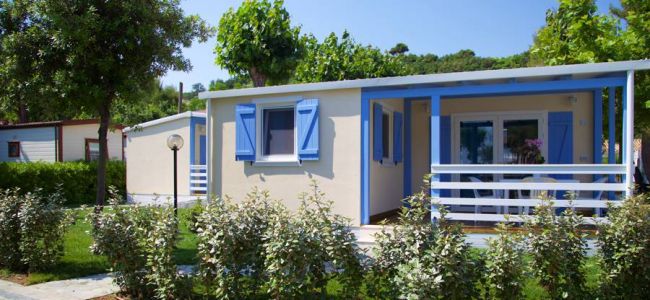 Casetta con persiane blu, circondata da piante e alberi, in un ambiente verde.