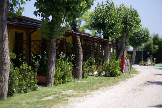 Viale alberato con case gialle e cespugli su un lato.