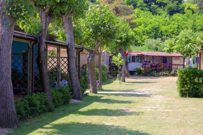 Bungalow lungo un prato ombreggiato da alberi, con vegetazione rigogliosa.