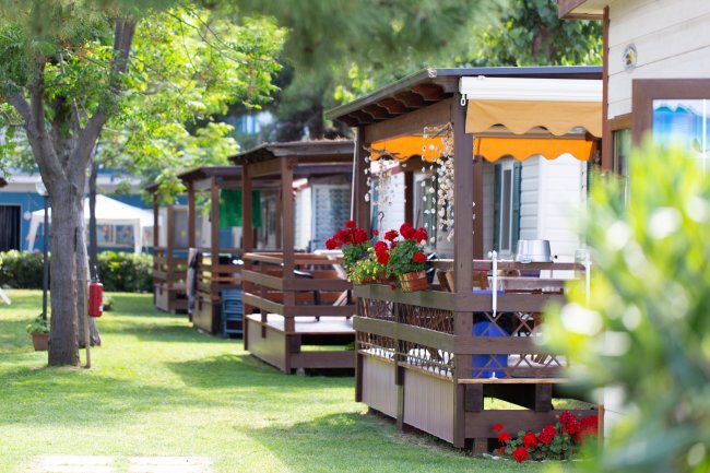 Villette con veranda in legno, ombreggiate e decorate con fiori rossi, su un prato verde.