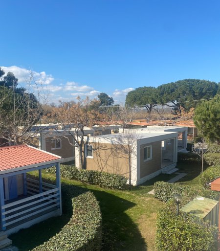 Diverse casette con giardino ed alberi spogli sotto un cielo sereno.
