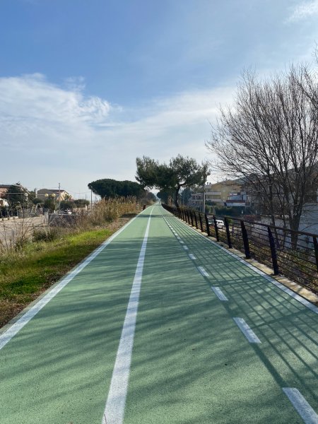 Pista ciclabile verde con linee bianche, fiancheggiata da alberi e una recinzione.