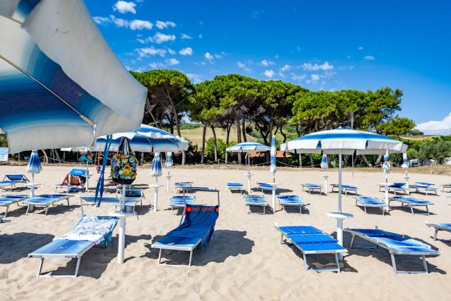 Lettini blu e ombrelloni bianchi su una spiaggia sabbiosa, alberi sullo sfondo.