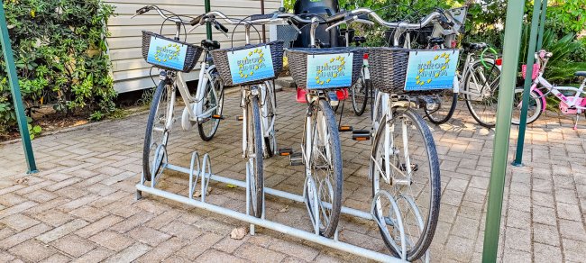 Biciclette con cestini allineate in una rastrelliera.