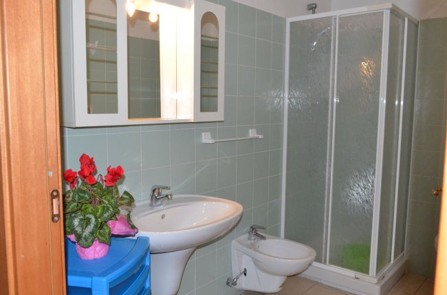 Bagno con lavabo, bidet, doccia, specchio, armadietto e pianta fiorita su mobile blu.