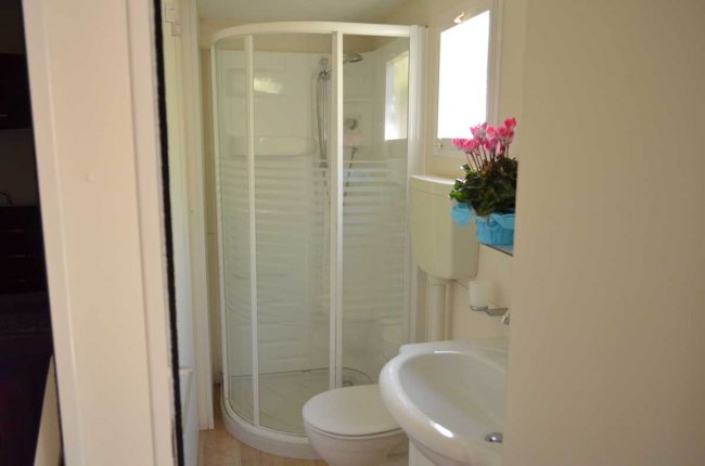 Un bagno con doccia ad angolo, lavabo e vaso. C'è una pianta fiorita accanto alla finestra.