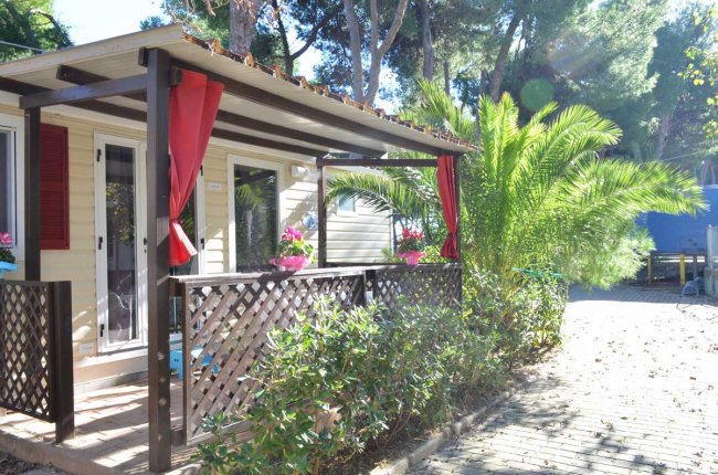 Bungalow in legno con veranda, tendine rosse e piante intorno.