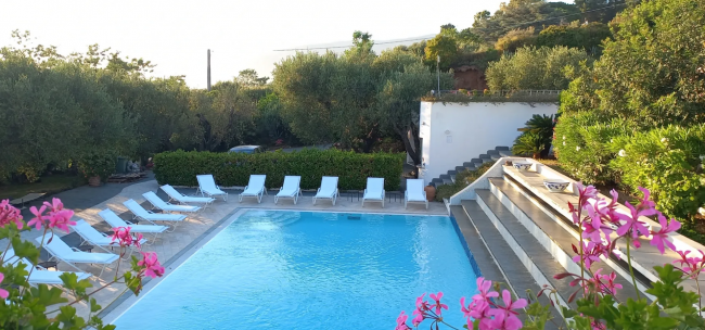 Piscina con lettini bianchi circondata da piante verdi e fiori rosa.