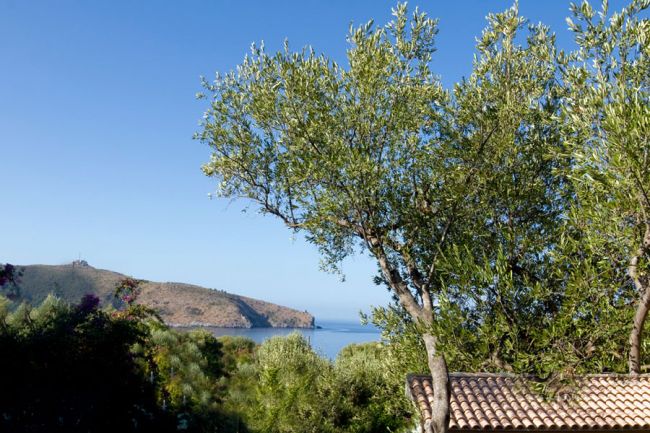 Vista di un paesaggio collinare con alberi e un tetto in primo piano.