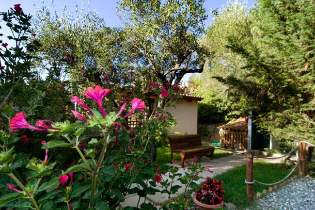 Giardino fiorito con panchina e cespugli, circondato da alberi.