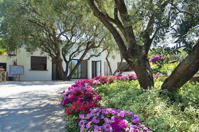 Giardino con fiori colorati sotto ulivi, accanto a un edificio bianco.