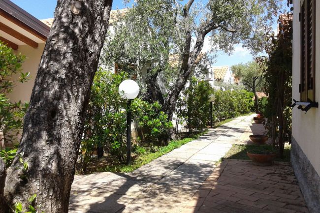 Sentiero in pietra fiancheggiato da alberi e siepi, con lampioni bianchi lungo il percorso.