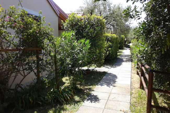 Vicolo acciottolato tra siepi e alberi, accanto a una casa con tetto rosso.