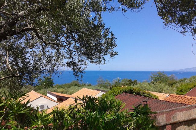 Vista sul mare con rami di ulivo in primo piano e tetti di case.