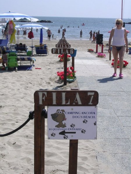 Una spiaggia con cartello che indica la 