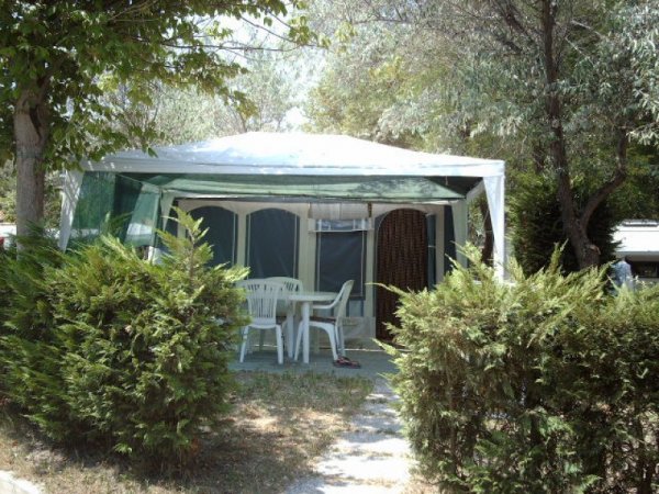 Tenda con sedie bianche, circondata da arbusti e alberi.