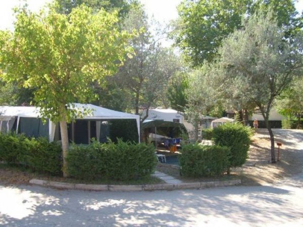 Campeggio ombreggiato con tende tra alberi e siepi verdi.