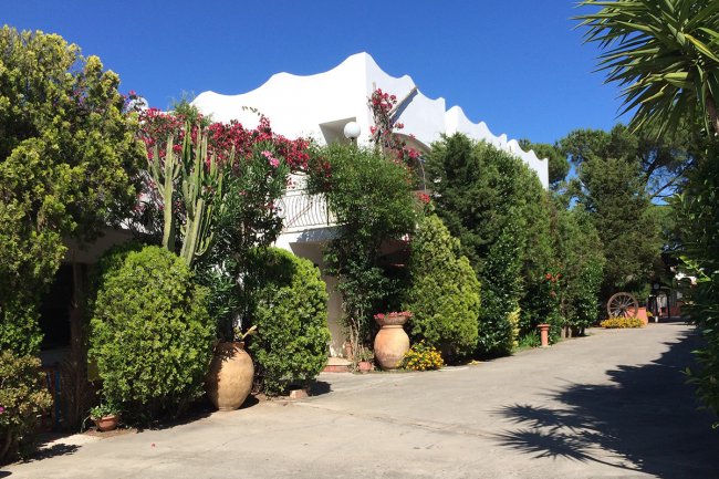 Edificio bianco circondato da piante verdi e fiori rossi.