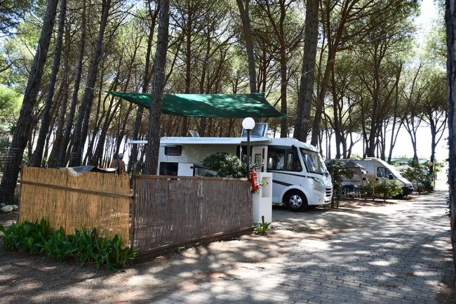 Area camper ombreggiata tra gli alberi, con due camper parcheggiati.