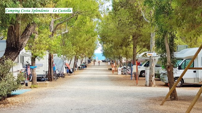 Strada tra camper e tende con alberi.