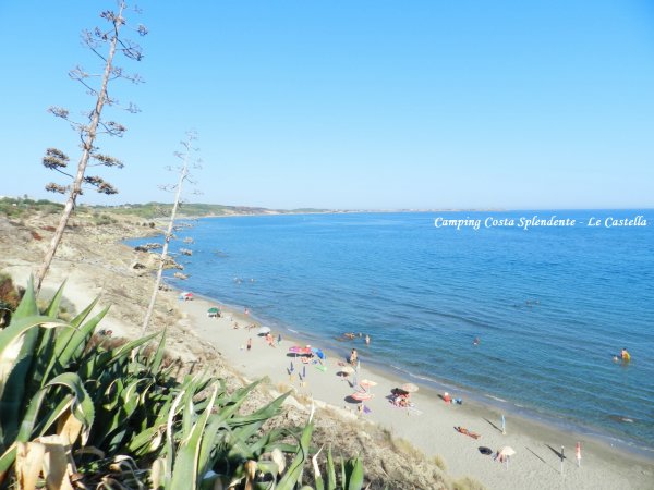 Spiaggia affollata con ombrelloni colorati, vista dall'alto con vegetazione.