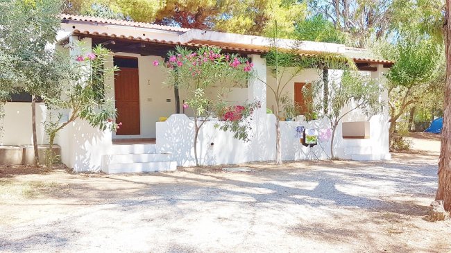 Bungalow bianco con piante fiorite e porta in legno, circondato da alberi.