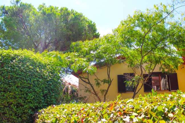 Casa gialla con persiane scure circondata da vegetazione lussureggiante.
