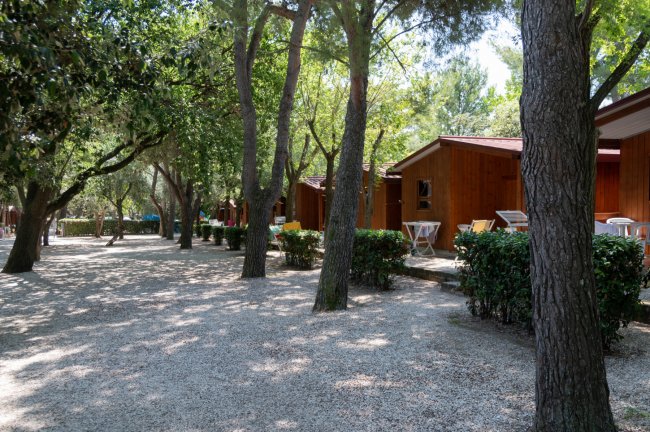 Riviera Camping Village (AN) Marche