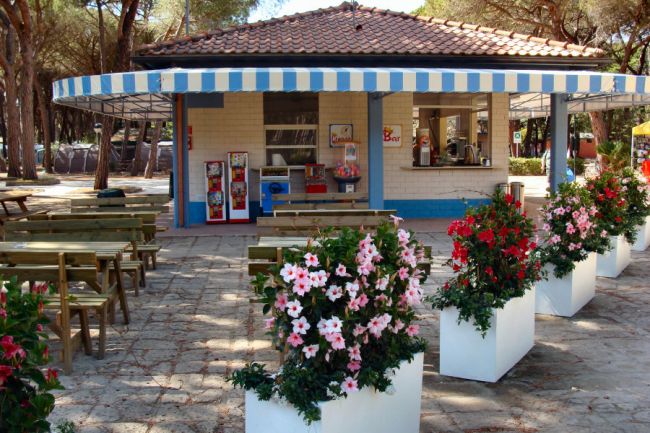 Chiosco all'aperto con tetto a strisce bianche e blu, circondato da fiori e tavoli.