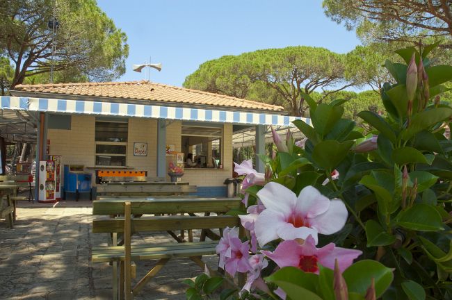 Una caffetteria all'aperto con tavoli da picnic, circondata da fiori rosa e alberi.