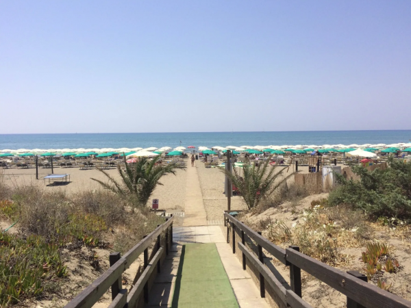 Spiaggia con ombrelloni verdi e passerella in legno.