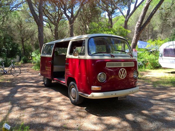 Furgone Volkswagen rosso parcheggiato in una zona boscosa con alberi alti.