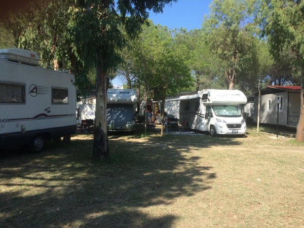 Roulotte parcheggiate sotto alberi in un campeggio ombreggiato.