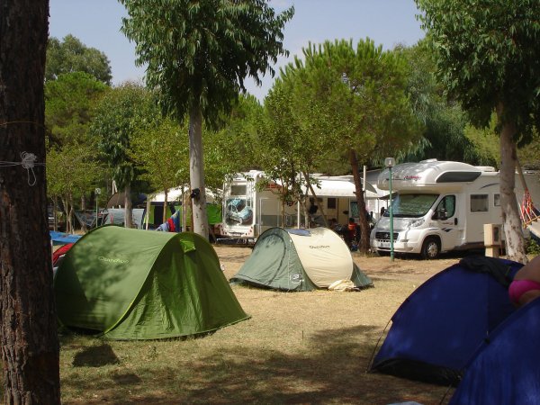 Campo con tende e camper tra alberi verdi.