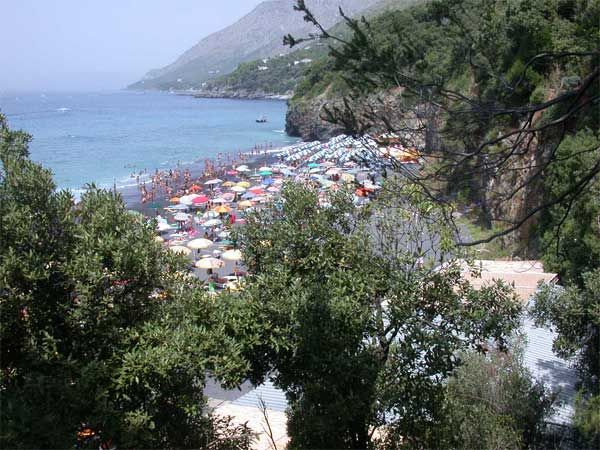 Spiaggia affollata con ombrelloni colorati, vista dall'alto con alberi in primo piano.
