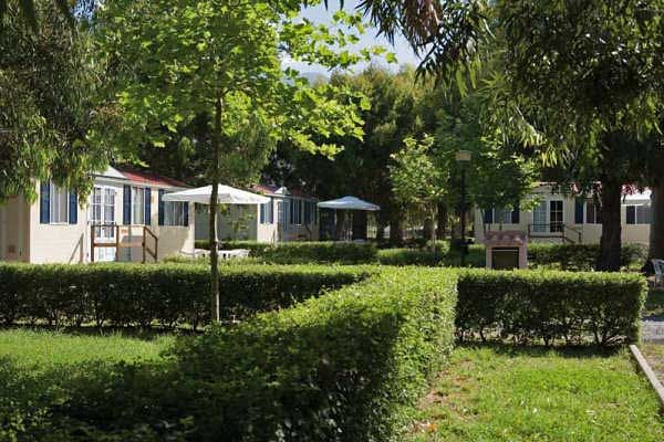 Casette bianche con giardini ben curati, circondate da alberi e cespugli verdi.