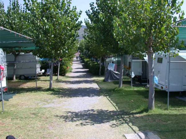 Sentiero alberato tra roulotte coperte, spazio erboso.
