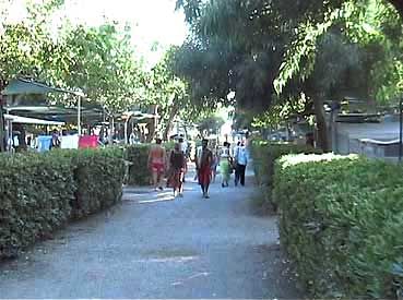 Persone che camminano lungo un vialetto alberato con siepi.