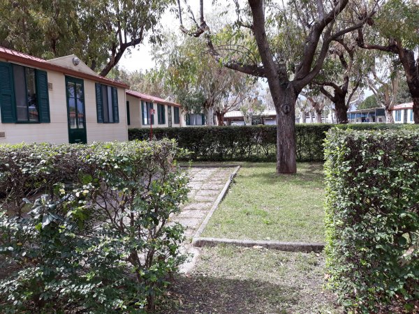 Un vialetto di mattoni tra prati e cespugli, con case e alberi sullo sfondo.