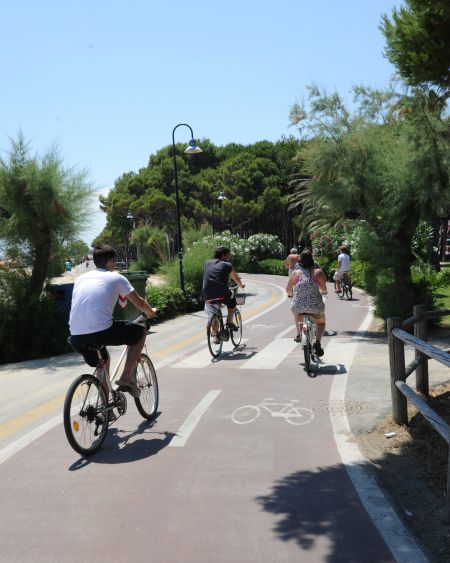 Persone in bicicletta su una pista ciclabile costeggiata da alberi e cespugli.