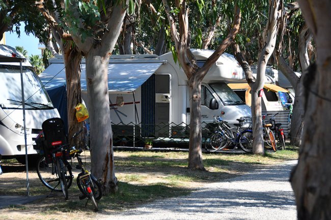 Camper parcheggiati tra alberi in un campeggio, con biciclette vicine.