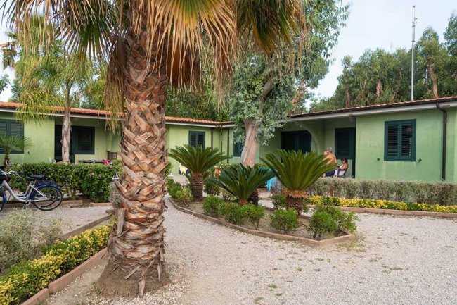 Una casa verde circondata da palme e arbusti, con sentiero di ghiaia in un giardino.