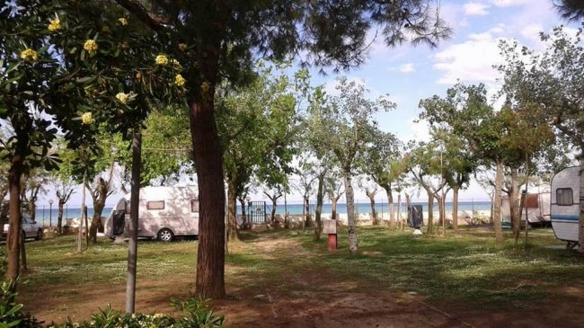 Campeggio con roulotte e alberi che si affacciano sul mare in lontananza.