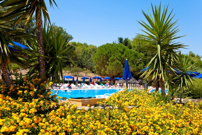 Vista diurna di una piscina con gente, ombrelloni blu, palme e fiori gialli.
