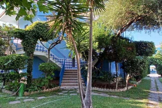 Casa blu con scala coperta da piante.