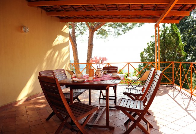 Terrazza con tavolo tondo in legno, sedie, piante e vista sugli alberi.