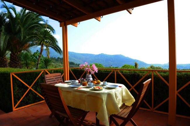 Tavolo apparecchiato su una terrazza con vista su palme e colline.
